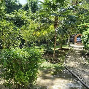 Mini Pini Bird Watching Loft , Cozumel Mexiko